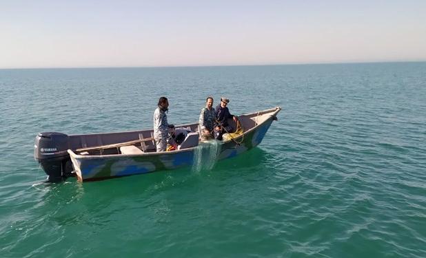 صیادان غیرمجاز در خلیج گرگان دستگیر شدند