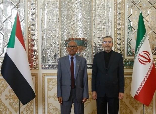 آمادگی سودان برای همکاری و تعامل نزدیک با ایران