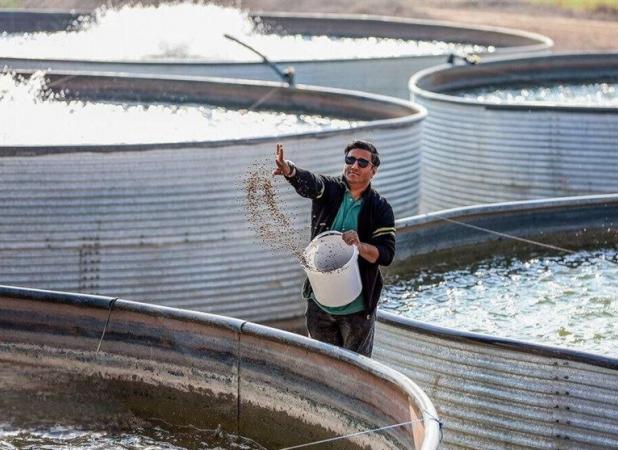 اجرای 30 هزار طرح اشتغال‌زایی در مناطق محروم