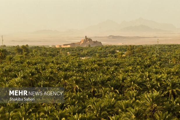 باغ‌شهر بم؛ سیر نزولی یک میراث جهانی