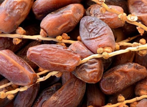 ظرفیت یک میلیارد دلاری صادرات خرما