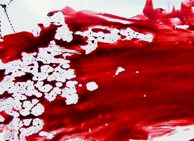 قتل خلافکار افغانستانی با ضربات چاقو/ شرور معروف شهر ری دستگیر شد