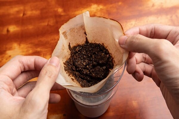 ثبت‌سفارش قهوه، کاکائو، ماهی تن و ذرت فردا آغاز می‌شود