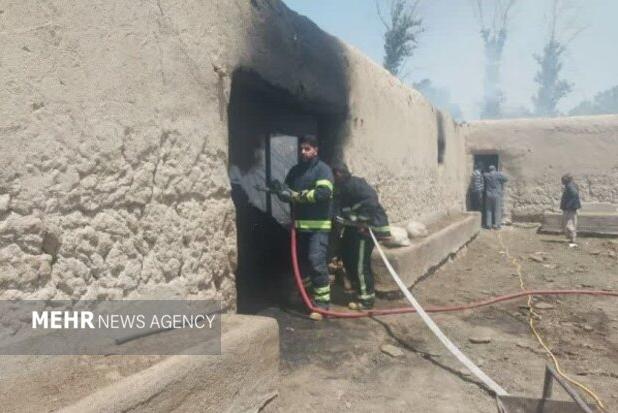 حادثه در دامداری جلیل‌آباد؛ بیش از ۳۰ رأس دام در آتش سوختند