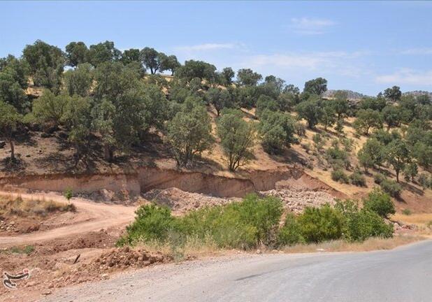 زمینخواری در مازندران به بحران تبدیل شده است