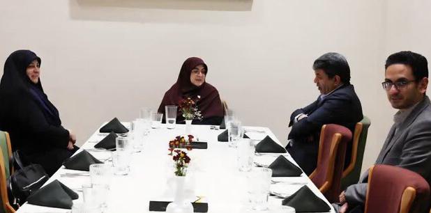 سخنگوی دولت با استقبال استاندار وارد کرمان شد