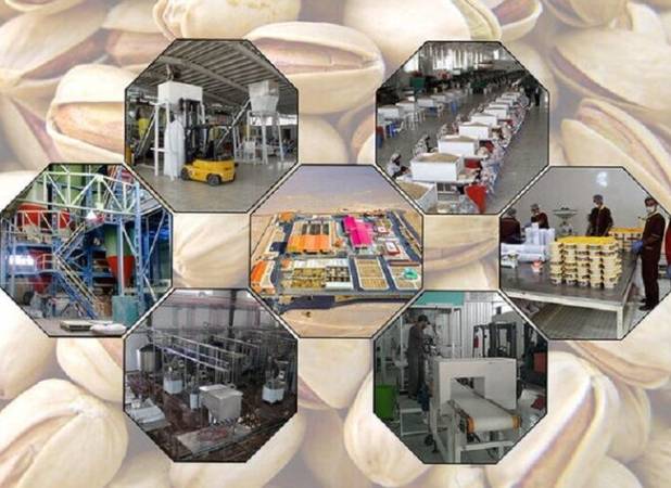 ۱۸۰ طرح صنایع تبدیلی و غذایی در دهه فجر به بهره‌برداری می‌رسد