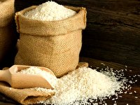 عرضه مستقیم ۱۰۰تُن برنج ایرانی در خراسان رضوی
