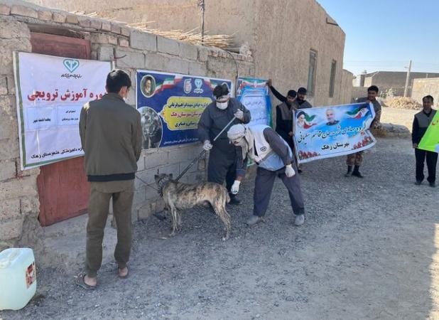 افزایش ۸۸ درصدی پوشش واکسیناسیون هاری در سیستان و بلوچستان