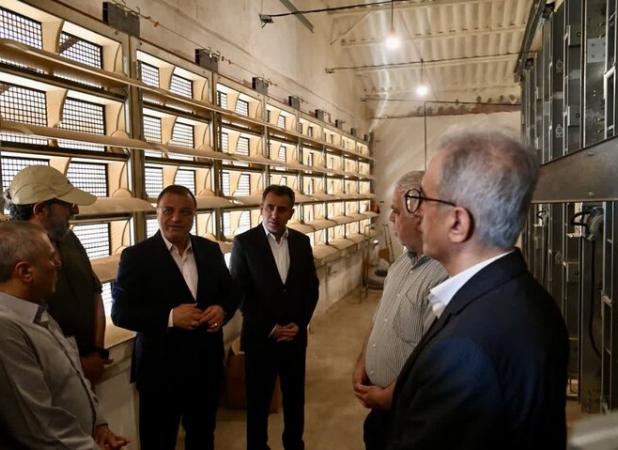 اقدام برای امنیت غذایی کشور؛ آغاز تولید ۱۳تن تخم‌مرغ درگلستان ازشهریور