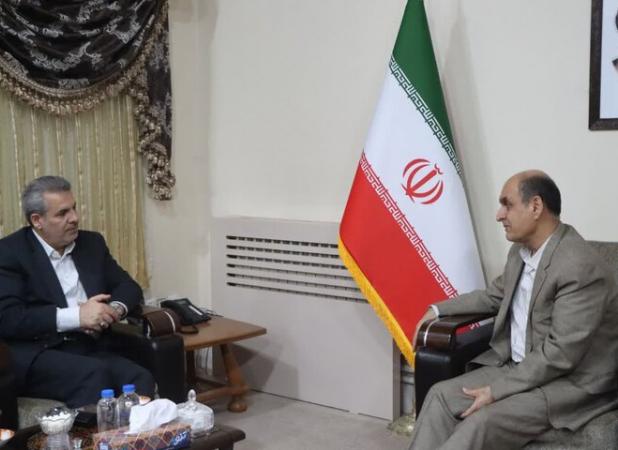 صالحی: بنیاد مسکن اجرای طرح‌های هادی روستایی را با جدیت دنبال می‌کند