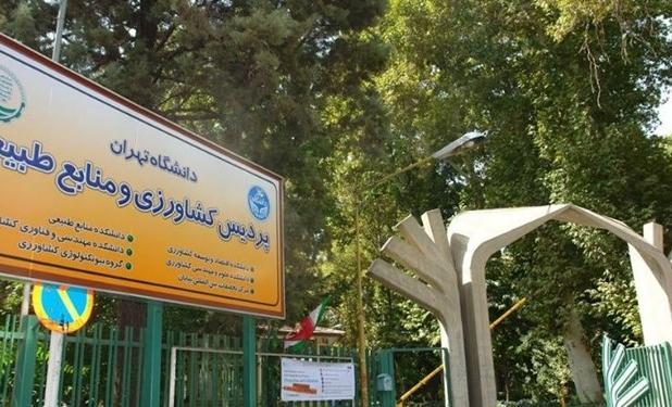 پروژه سوم مهساسازی ضدانقلاب هم شکست خورد