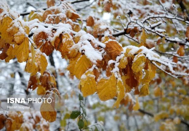 کاهش ۶ تا ۱۳ درجه ای دما در گیلان/ بارش موقتی برف در نواحی جلگه ای