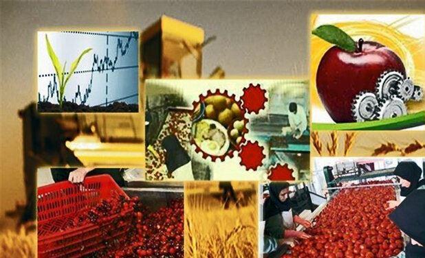 رونق طرح‌های سرمایه‌گذاری کشاورزی درسرعین