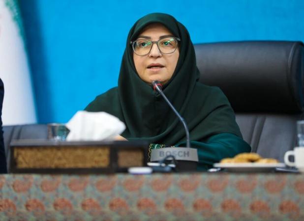 انصاری: سند «یزد پایدار» نقطه‌عطفی در مسیر تاب‌آوری محیطی یزد است