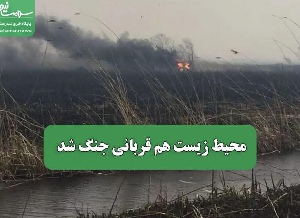 محیط زیست هم قربانی جنگ شد