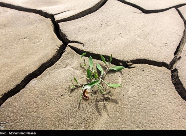 "بحران آب" مادر تمام بحران‌های محیط زیست!/ ۹۵۸۰ شهر و روستای کشور در "خطر فرونشست زمین"