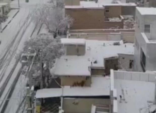 بارش برف شهر قروه را سفیدپوش کرد