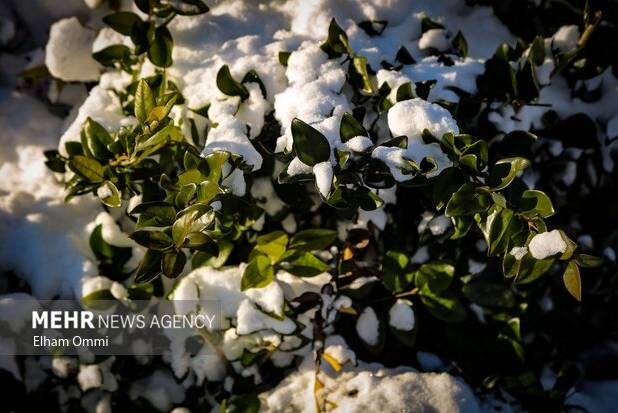 صدور هشدار هواشناسی؛ کولاک برف و مه‌گرفتگی در ۲۸ استان کشور