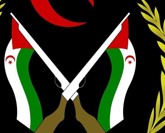 واکنش جبهه پولیساریو به قعطنامه شورای امنیت درباره صحرای غربی