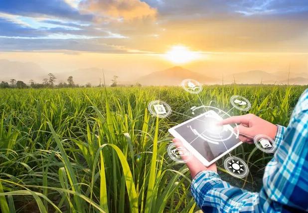  نجات آب با کلید هوشمند کشاورزی