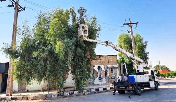 هرس بیش از ۱۲ هزار اصله درخت متداخل با شبکه برق در اهواز
