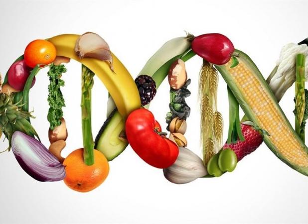 بقایای محصولات تراریخته به محیط زیست آسیب می‌زند