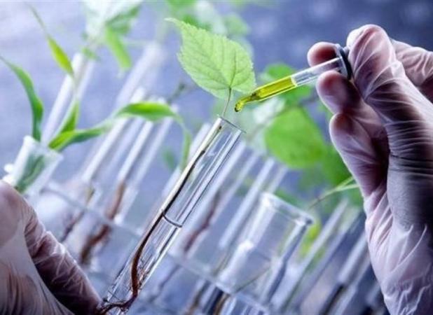 ۲۵ سال تلاش برای ترویج علم؛ روایت عشق به دانایی