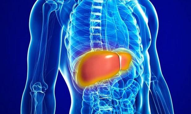 فوق تخصص گوارش: «رزمتیروم» برای تمام افراد مبتلا به کبدچرب توصیه نمی‌شود