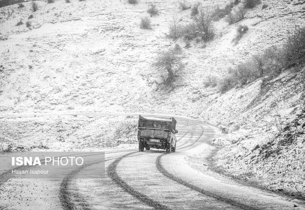 ۲ محور فارس برفی هستند/ بارش باران در ۶ محور