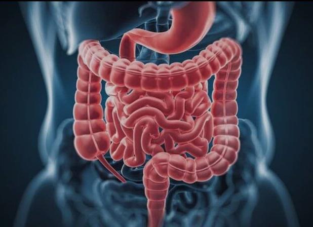 شیوع مشکلات گوارشی در دوران یائسگی