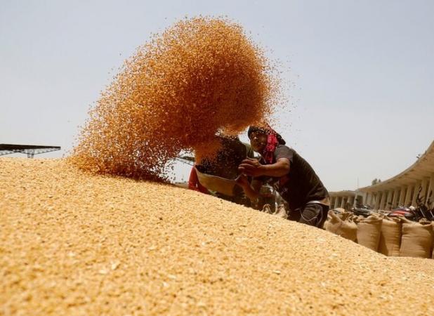 پرداخت ۵ هزار میلیارد تومانی مطالبات گندم‌کاران گلستانی