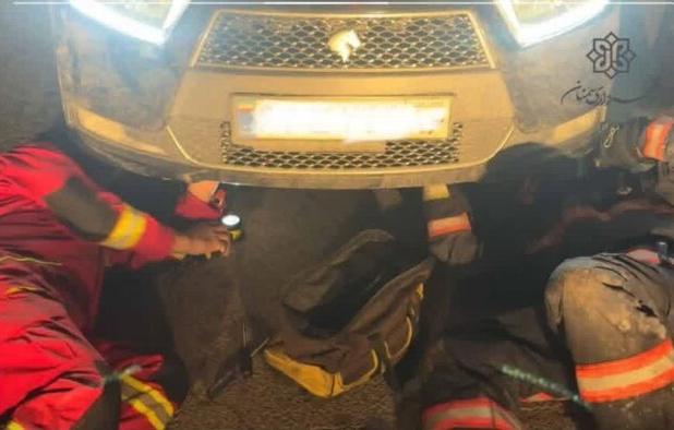 گربه بازیگوش آتش‌نشانان را به عملیات کشاند/ لزوم بازرسی بصری خودرو در فصول سرد