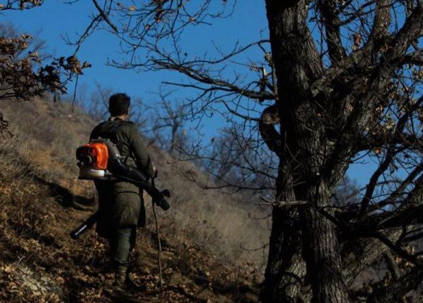 آخرین کانون آتش سوزی جنگل‌های دیزمار آذربایجان‌شرقی لکه گیری شد