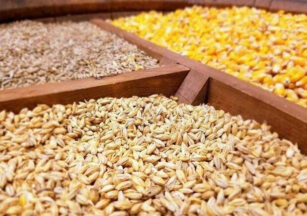 اختصاص نهاده‌های دام و طیور مازاد بر سهمیه معمول به لرستان