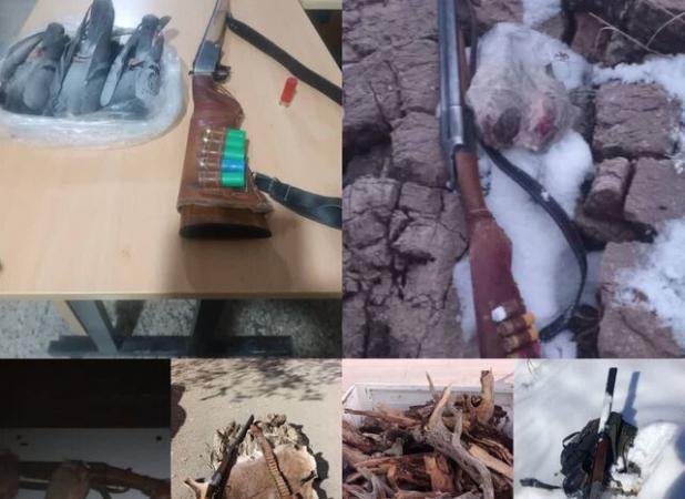 کشف و ضبط ۶ قبضه سلاح و ۱۰ تخلف زیست محیطی طی ۹ ماهه امسال در بویراحمد