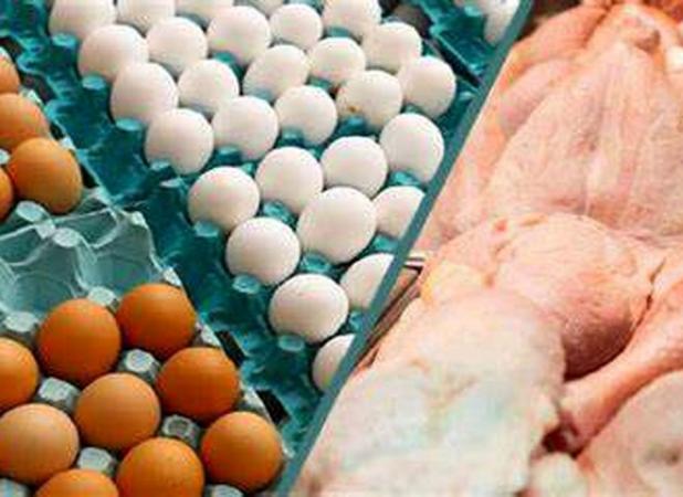 تثبیت قیمت مرغ و تخم مرغ در خراسان رضوی