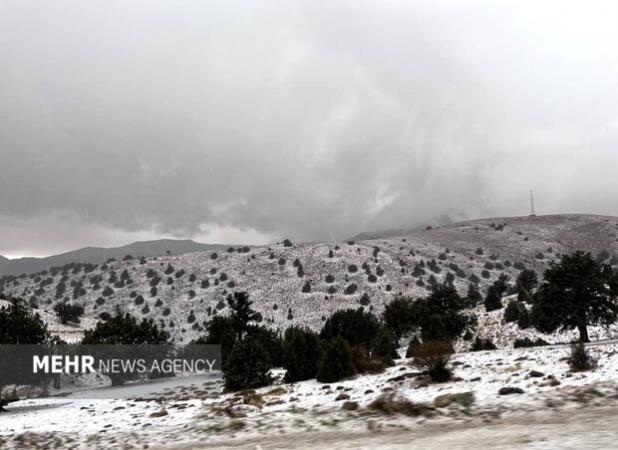 تصاویری از بارش برف در ارتفاعات شهر زنجان