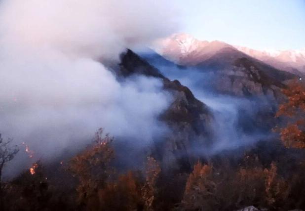 پایان نبرد با آتش در کارمزد/ آغاز هشدار برای جنگلی که تا لبه پرتگاه رفت