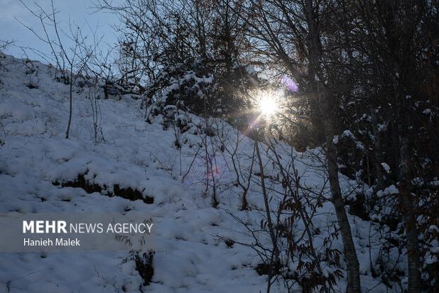 تصاویری از بارش شدید برف به همراه کولاک در مناطق مختلف آذربایجان غربی