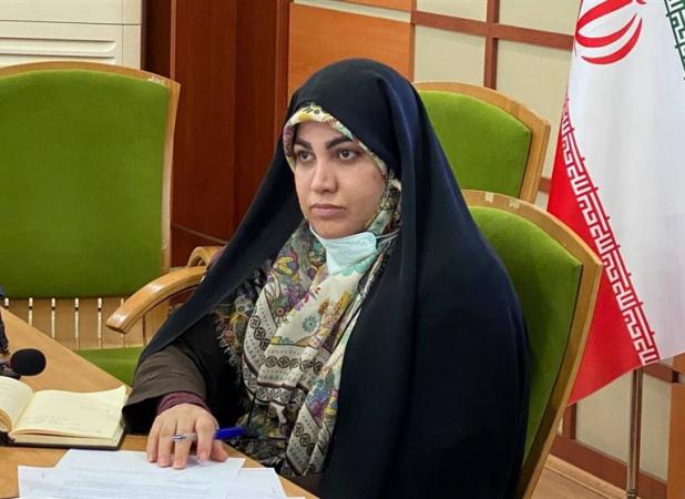 لزوم اقدام هماهنگ دولت وشهرداری تهران درباره مسافربرهای شخصی