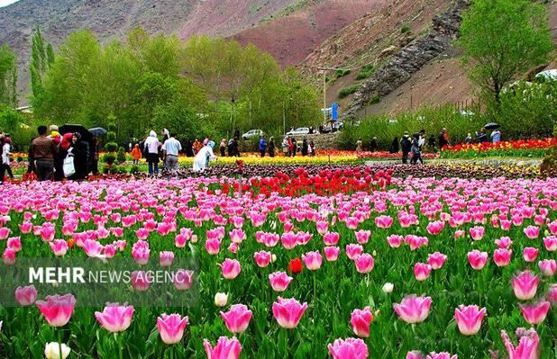 سفر به محلات؛ سرزمین گل‌ها و گنجینه‌های تاریخی و طبیعی