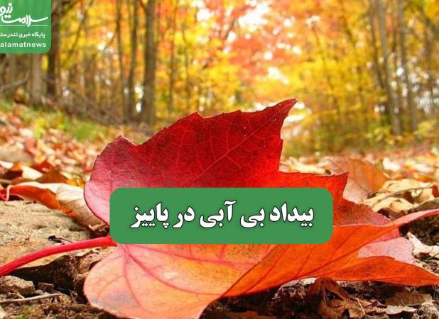 بیداد بی آبی در پاییز