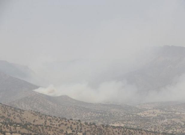 آتش‌سوزی در جنگل‌های منطقه «زمزم شاهیوند» مهار شد