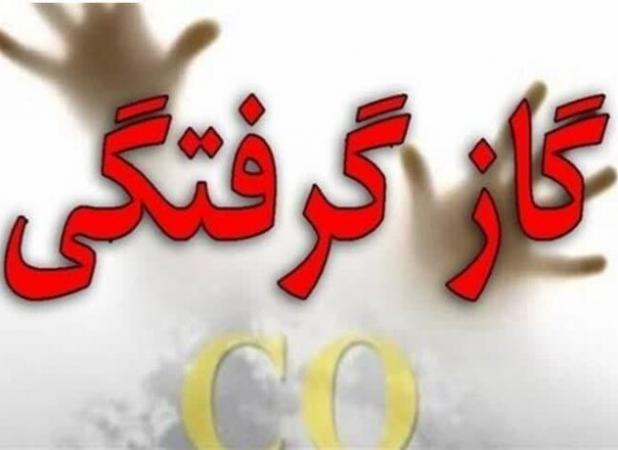 گاز مونوکسیدکربن ۴ نفر را به بیمارستان امام رضا(ع) مشهد کشاند
