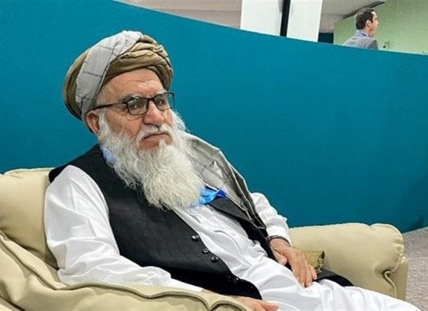 جنگ‌ها و استفاده بی‌رویه از منابع طبیعی؛ عوامل اصلی تخریب محیط‌زیست افغانستان