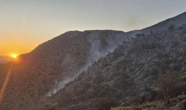 ۸ فناوری‌ نوظهور برای کاهش ریسک آتش‌سوزی‌های جنگلی