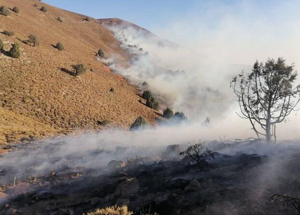 لشگری: آتش‌سوزی منطقه حفاظت‌شده هزار مسجد کلات مهار شد