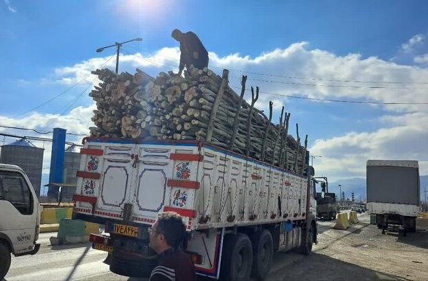 کشف محموله قاچاق چوب بید در کامیاران