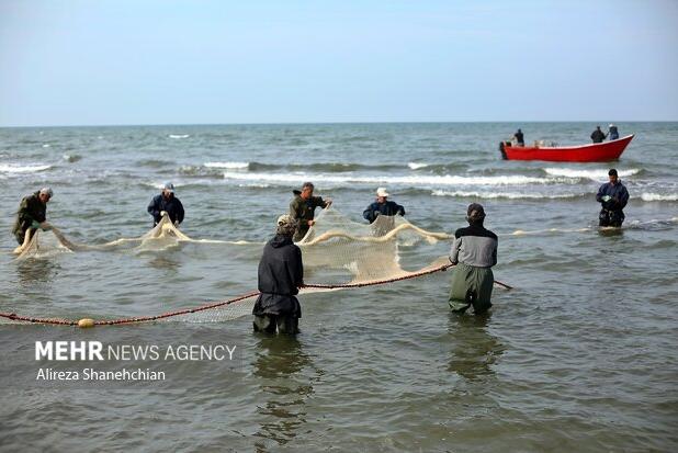 دریای خزر تا ۳ روز آینده آرام است؛ شرایط مساعد برای صید و صیادی